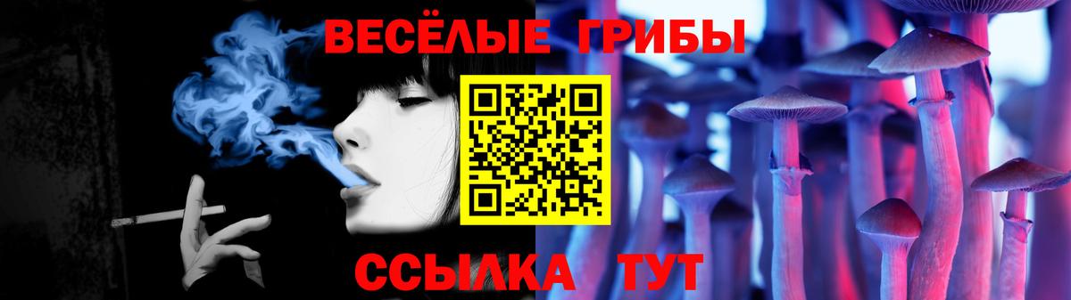 Галлюциногенные грибы Cubensis  Вход с VPN  Среднеуральск 